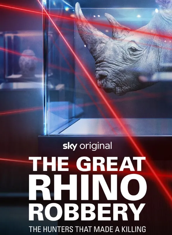     The Great Rhino Robbery